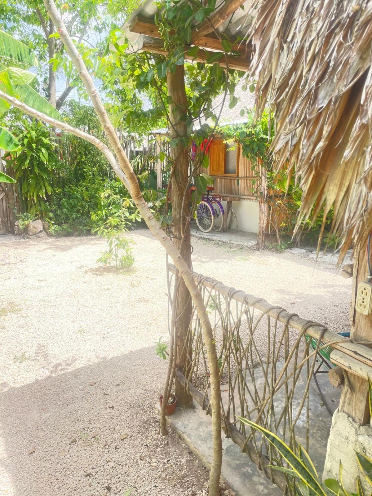 Cabanas Alma Verde Bacalar Exterior foto